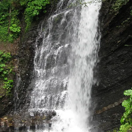 Teremok * Mykulychyn