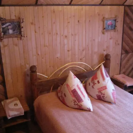 Vakantiehuis Teremok Mykulychyn